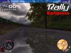 rally16sm.jpg (2702 byte)