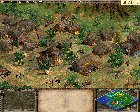 aoe1sm.jpg (8665 byte)